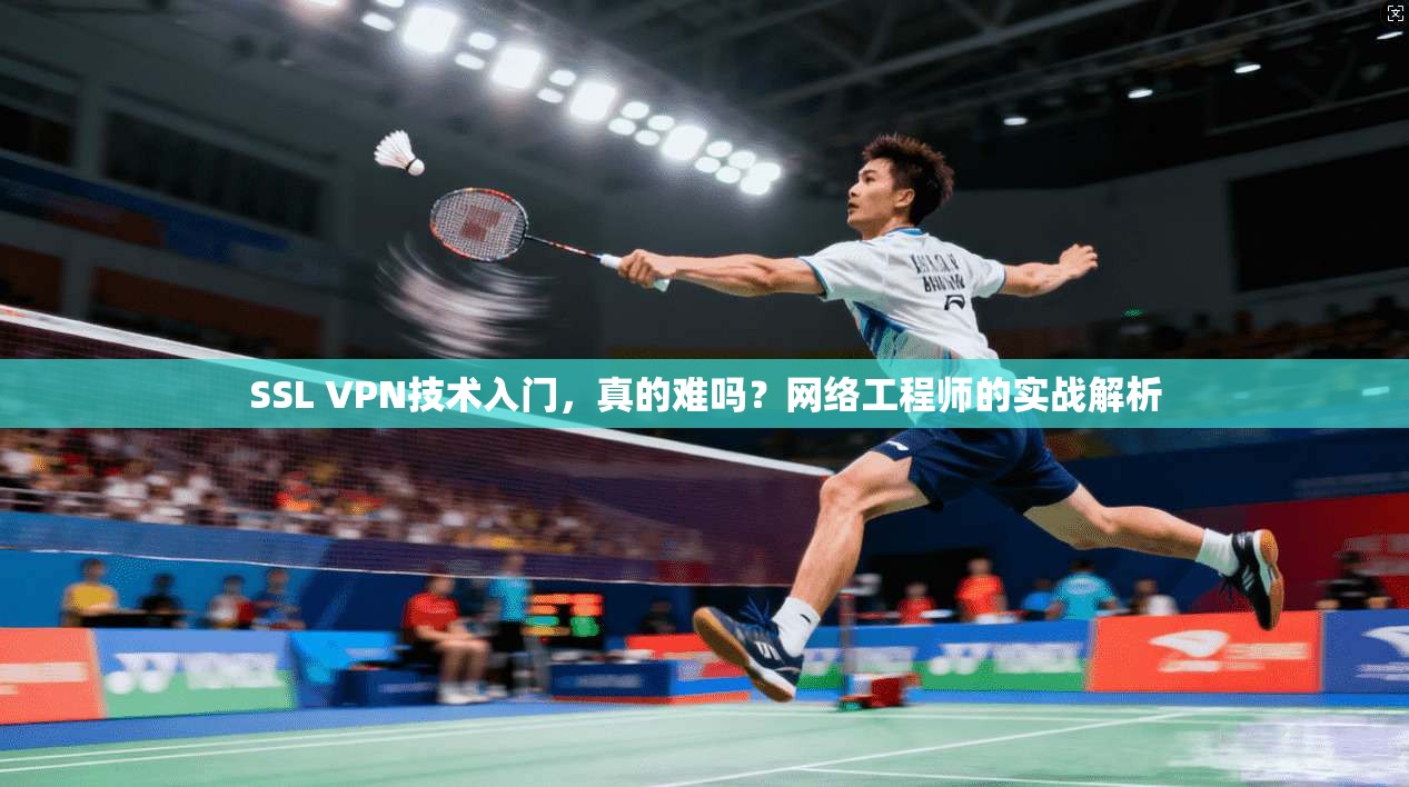 SSL VPN技术入门，真的难吗？网络工程师的实战解析