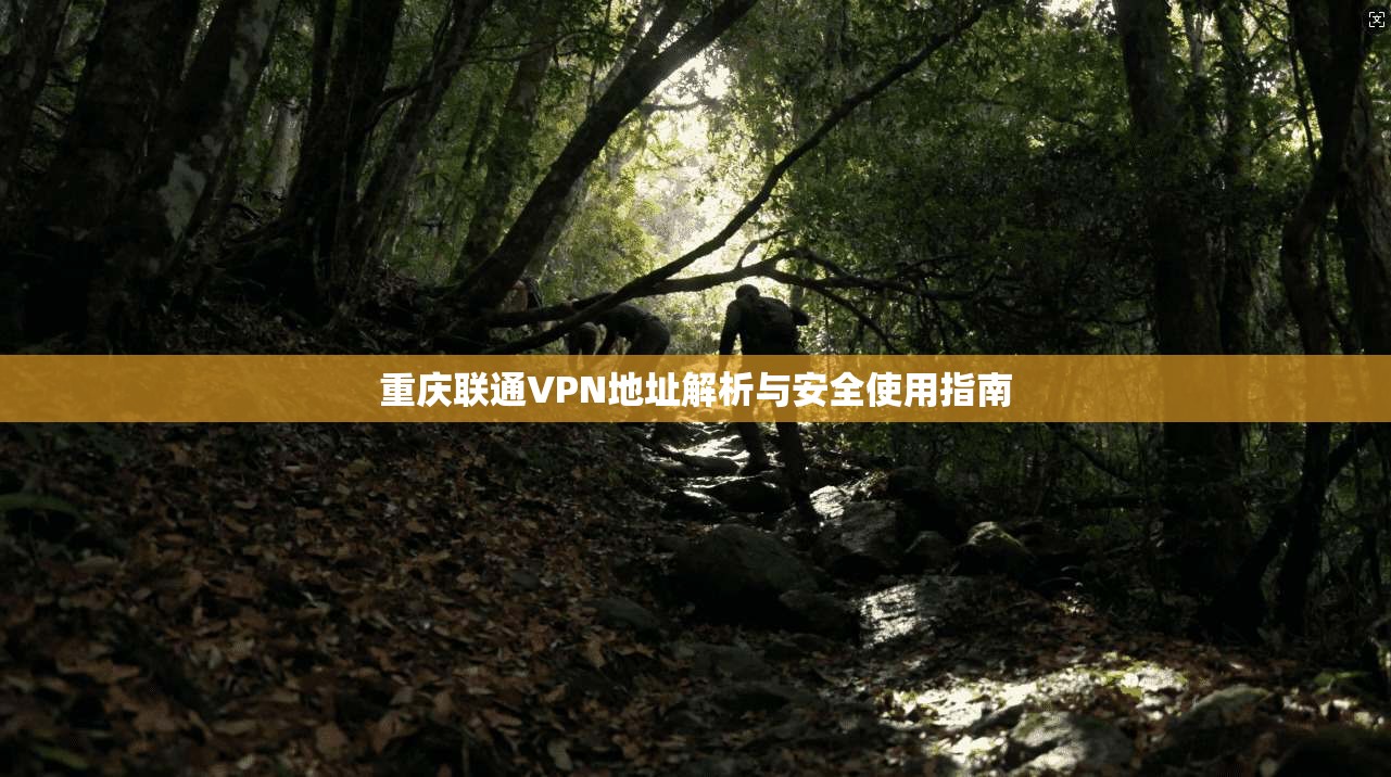 重庆联通VPN地址解析与安全使用指南