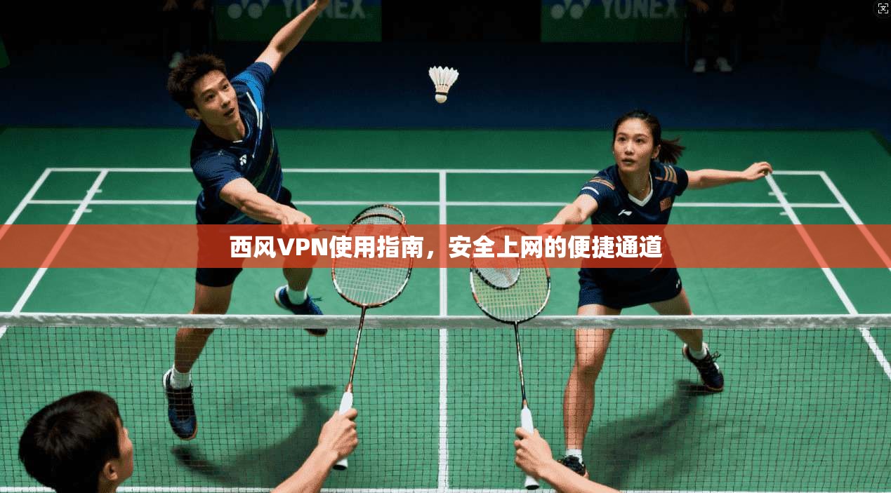 西风VPN使用指南，安全上网的便捷通道