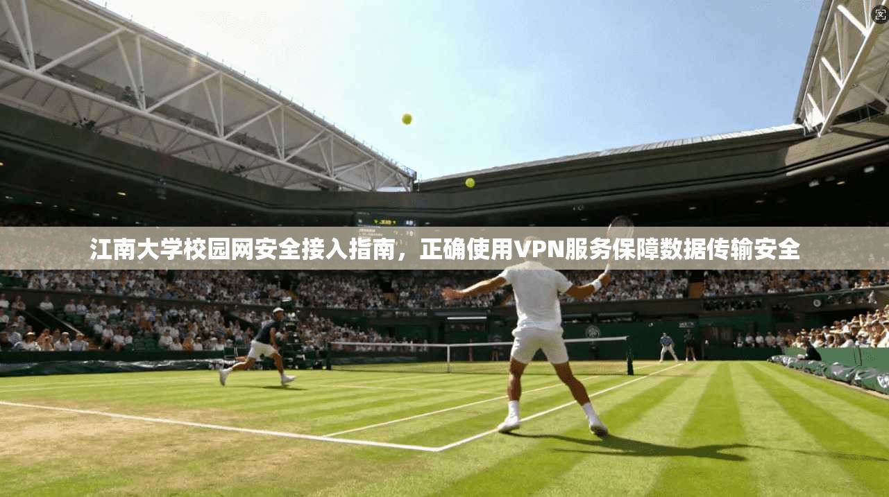 江南大学校园网安全接入指南，正确使用VPN服务保障数据传输安全