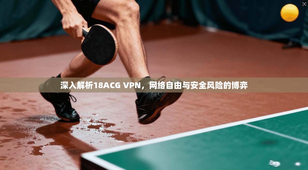 深入解析18ACG VPN，网络自由与安全风险的博弈