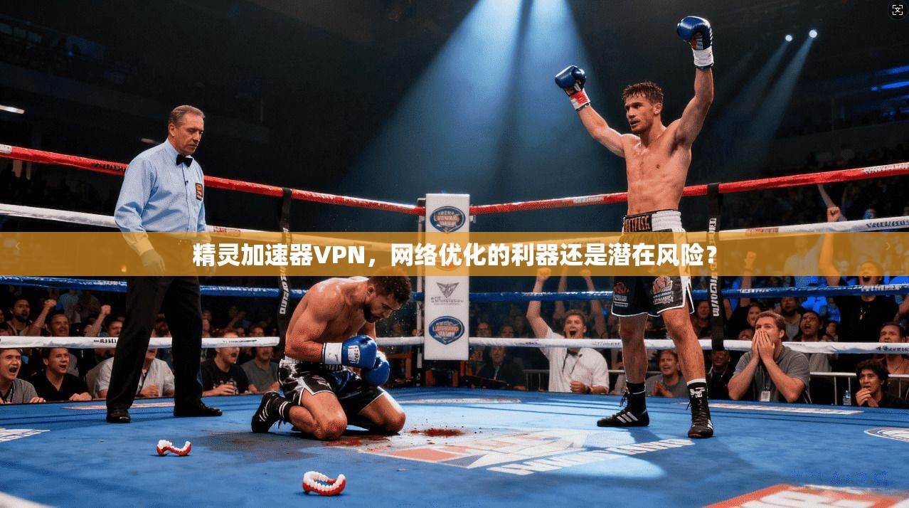 精灵加速器VPN，网络优化的利器还是潜在风险？