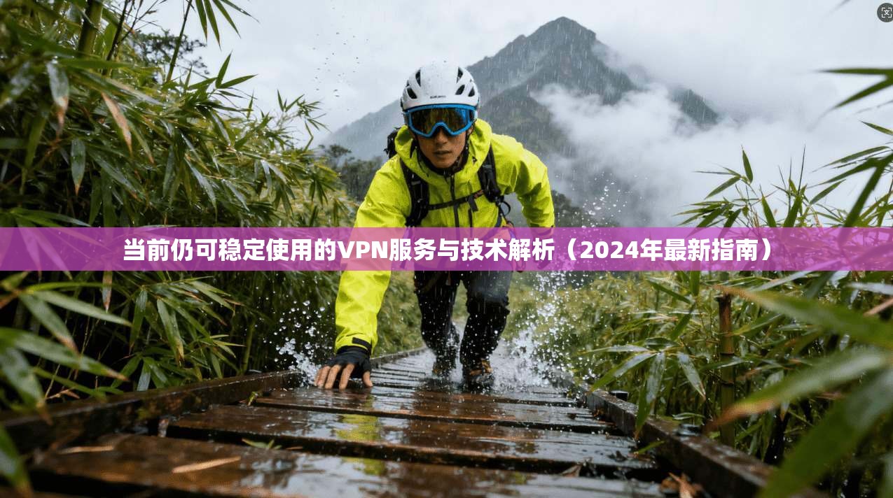 当前仍可稳定使用的VPN服务与技术解析（2024年最新指南）