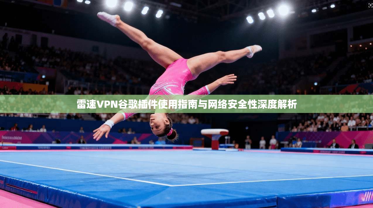雷速VPN谷歌插件使用指南与网络安全性深度解析