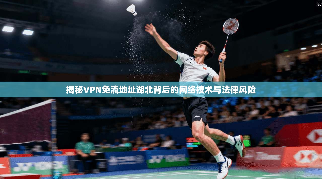 揭秘VPN免流地址湖北背后的网络技术与法律风险
