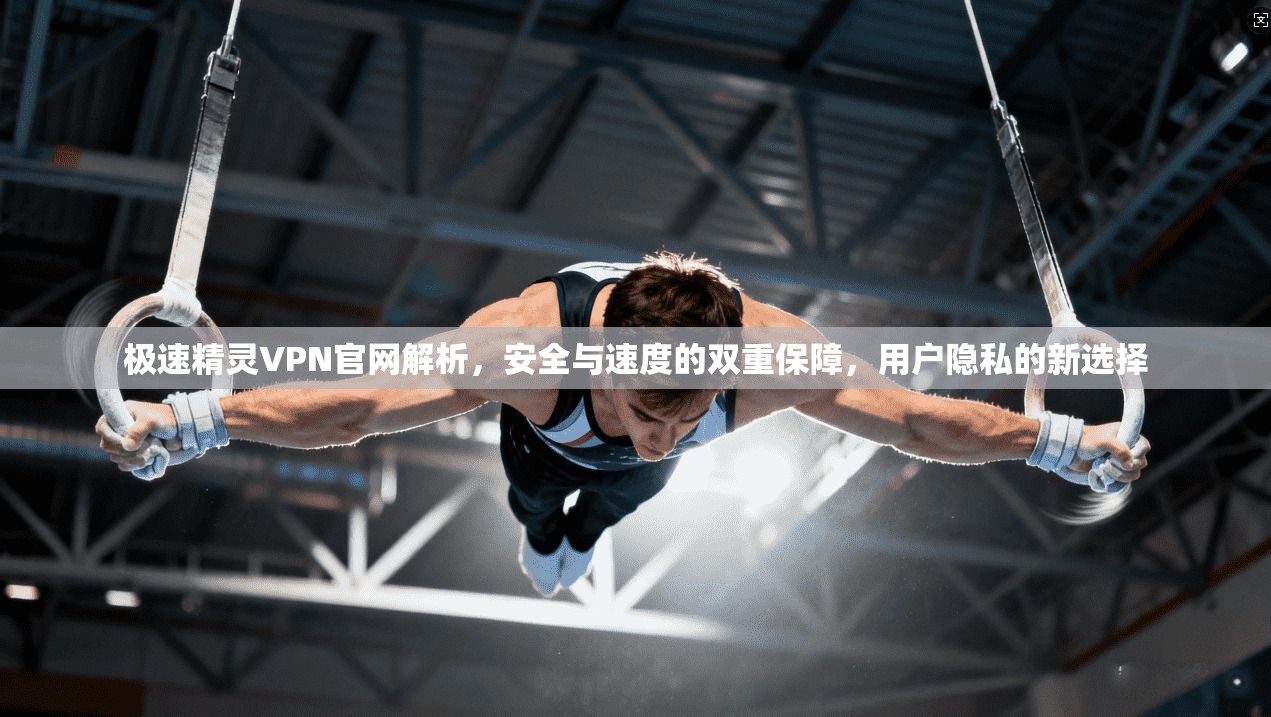 极速精灵VPN官网解析，安全与速度的双重保障，用户隐私的新选择