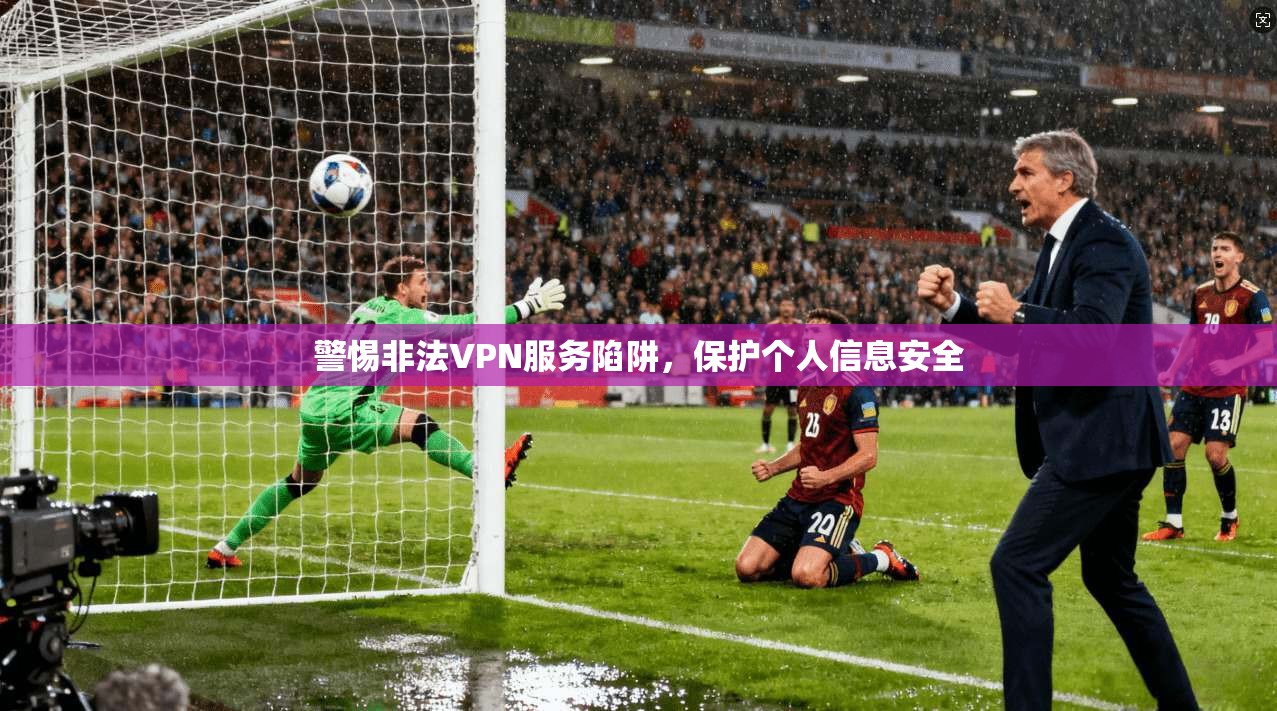 警惕非法VPN服务陷阱，保护个人信息安全