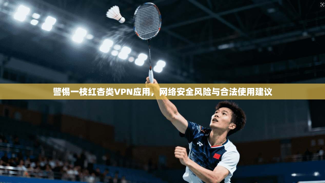 警惕一枝红杏类VPN应用，网络安全风险与合法使用建议