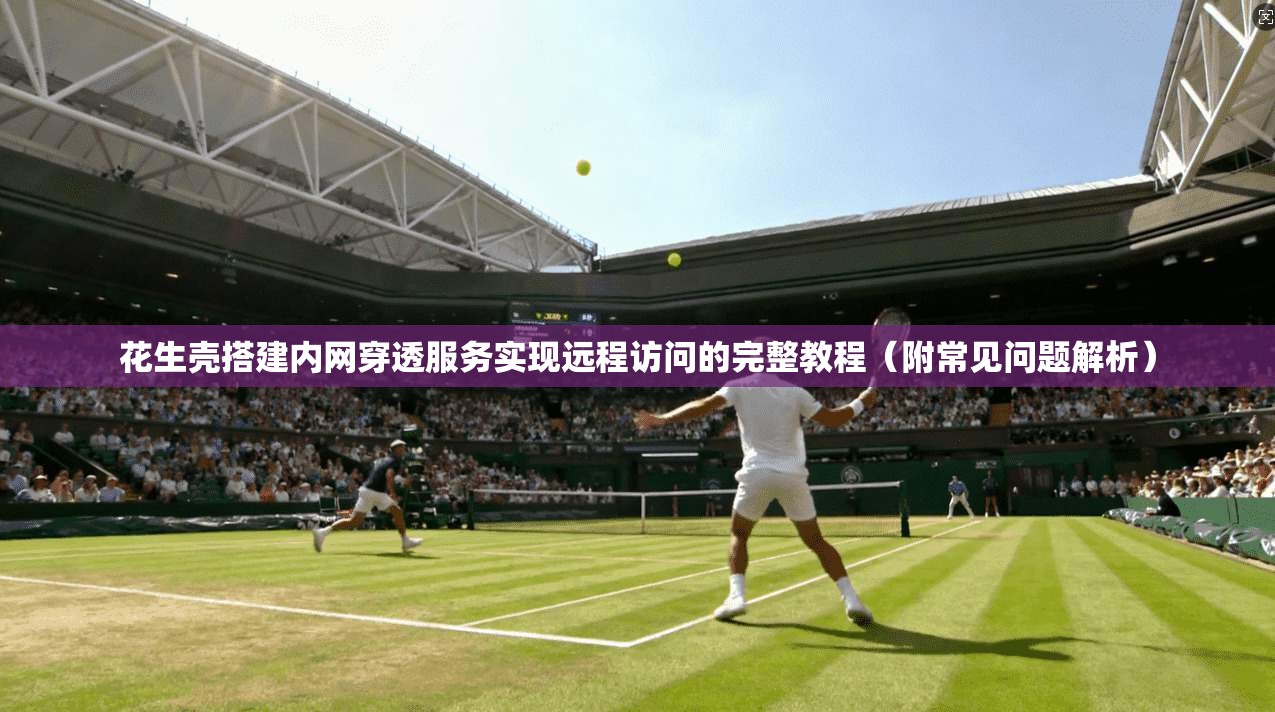 花生壳搭建内网穿透服务实现远程访问的完整教程（附常见问题解析）
