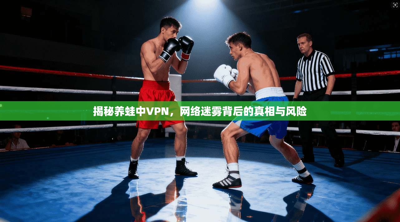 揭秘养蛙中VPN，网络迷雾背后的真相与风险
