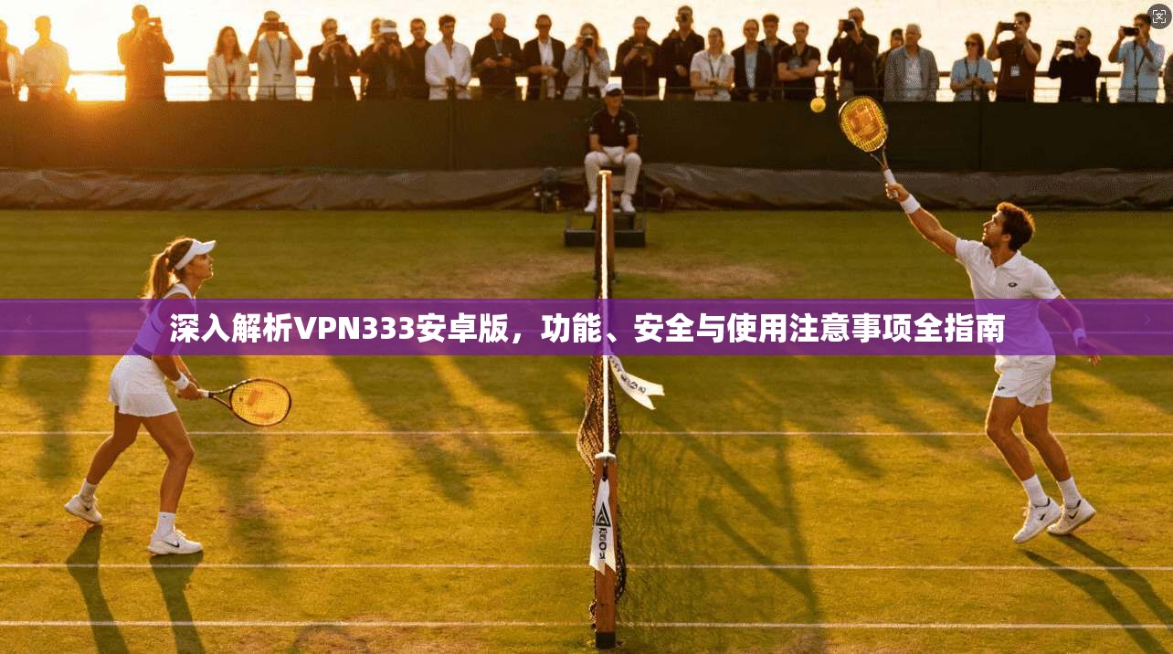 深入解析VPN333安卓版，功能、安全与使用注意事项全指南