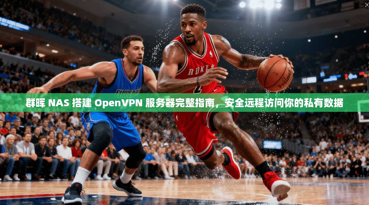 群晖 NAS 搭建 OpenVPN 服务器完整指南，安全远程访问你的私有数据