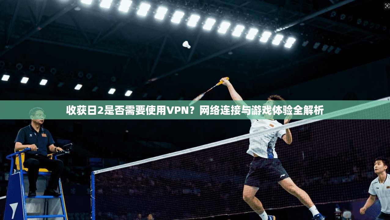 收获日2是否需要使用VPN？网络连接与游戏体验全解析