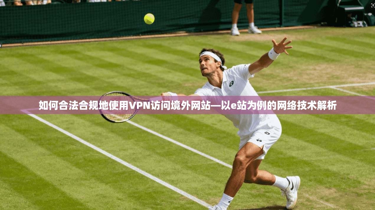 如何合法合规地使用VPN访问境外网站—以e站为例的网络技术解析