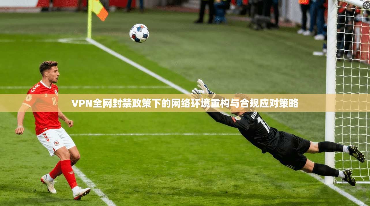 VPN全网封禁政策下的网络环境重构与合规应对策略