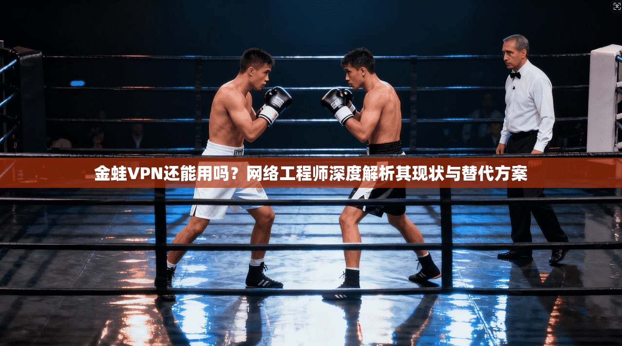 金蛙VPN还能用吗？网络工程师深度解析其现状与替代方案