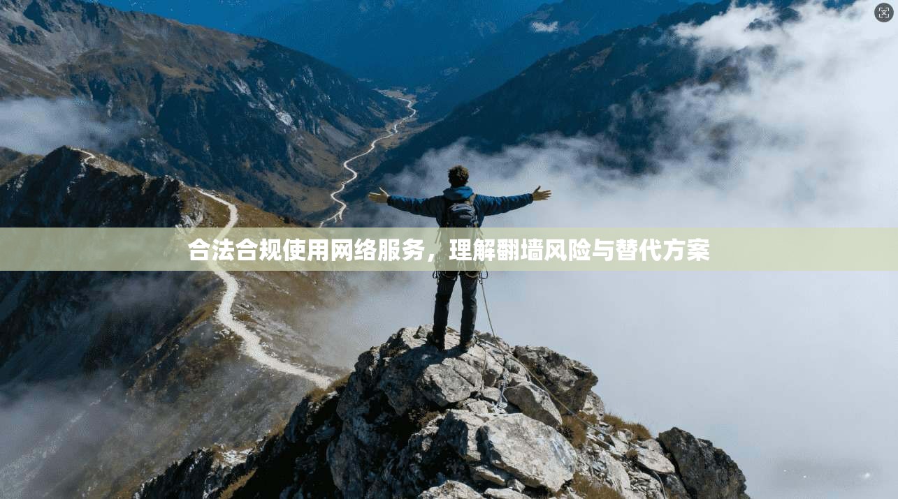 合法合规使用网络服务，理解翻墙风险与替代方案