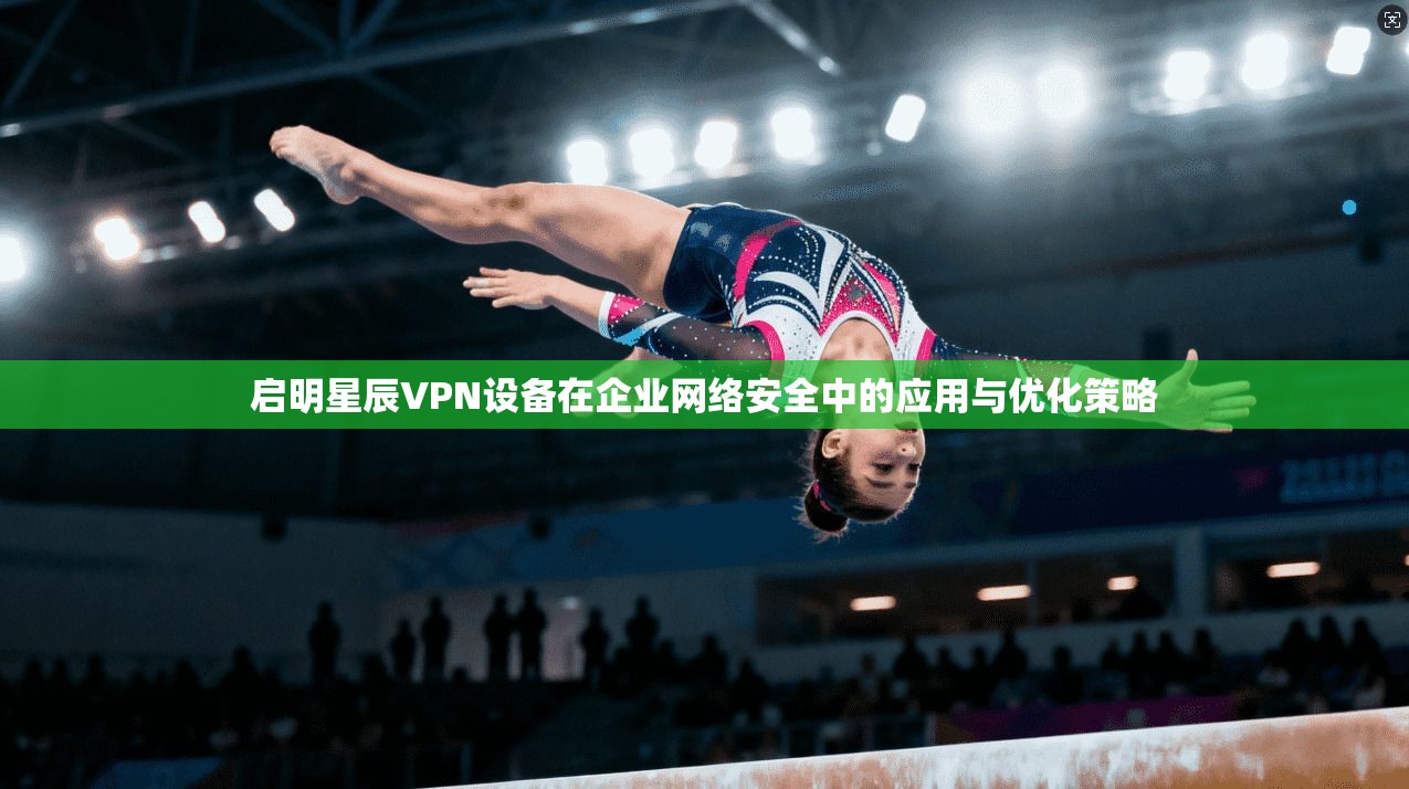 启明星辰VPN设备在企业网络安全中的应用与优化策略