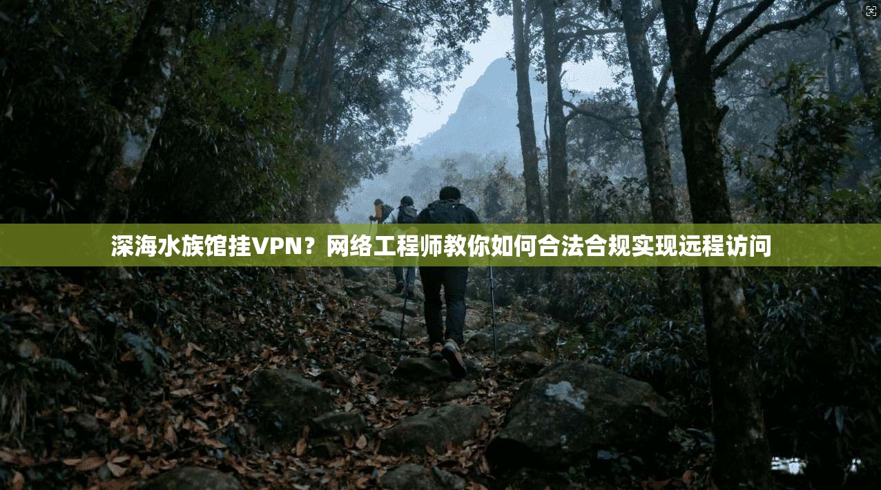 深海水族馆挂VPN？网络工程师教你如何合法合规实现远程访问