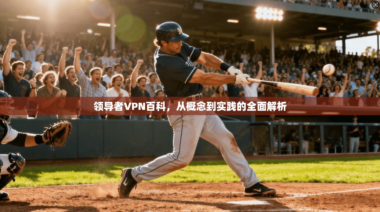 领导者VPN百科，从概念到实践的全面解析