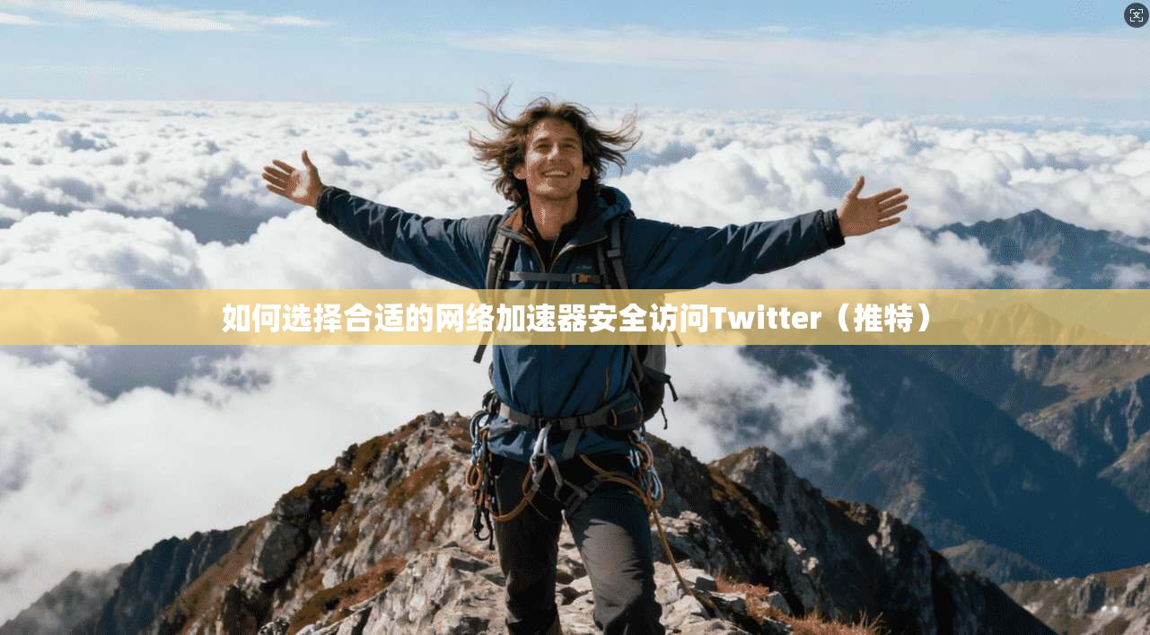 如何选择合适的网络加速器安全访问Twitter（推特）