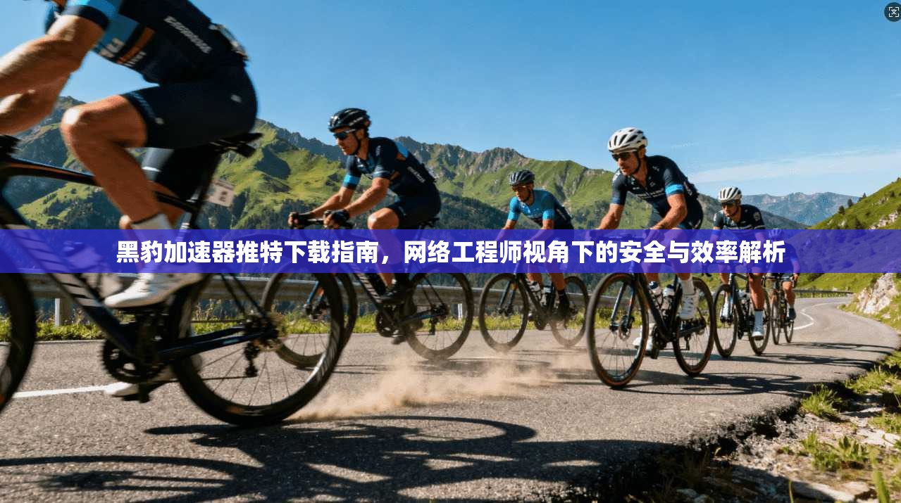 黑豹加速器推特下载指南，网络工程师视角下的安全与效率解析