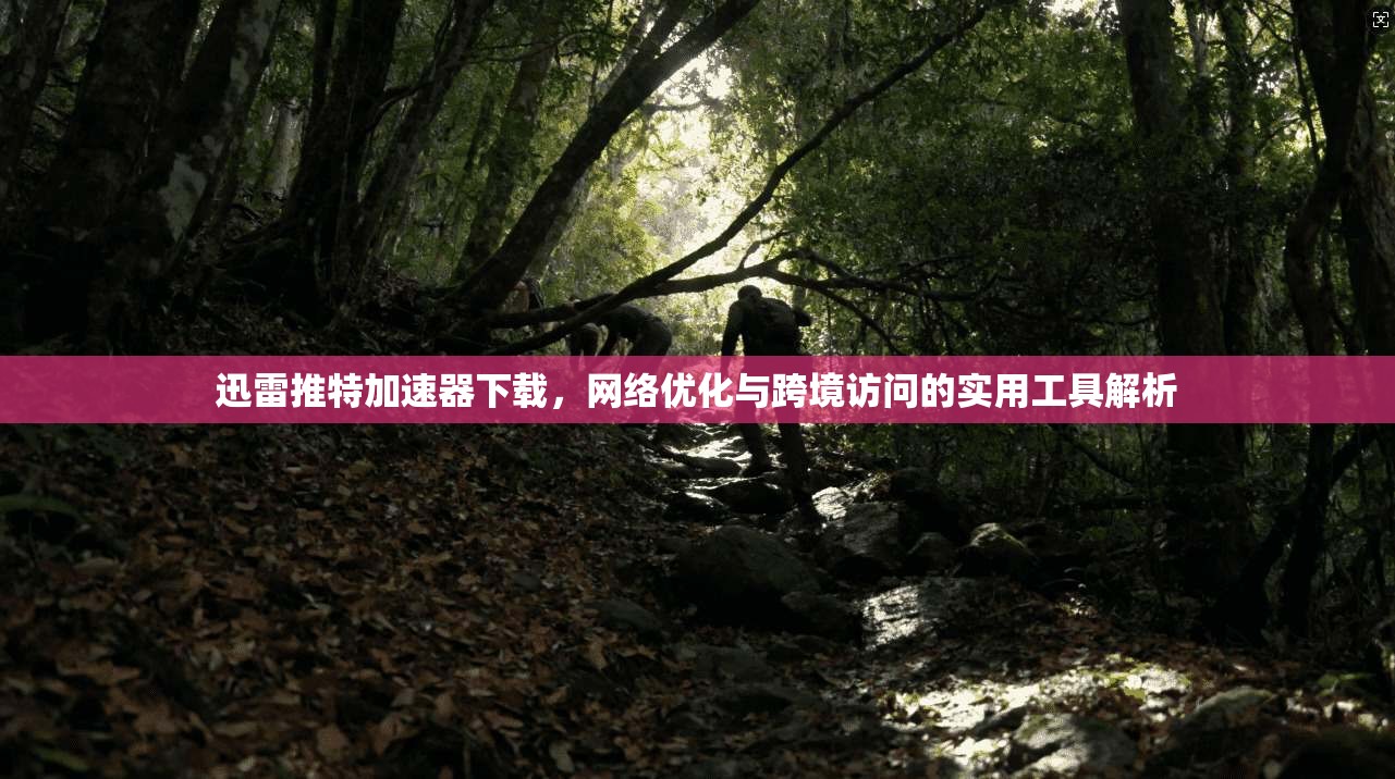 迅雷推特加速器下载，网络优化与跨境访问的实用工具解析