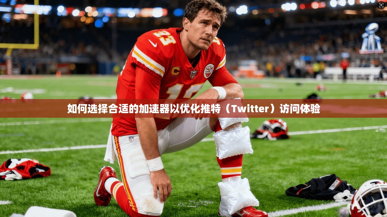 如何选择合适的加速器以优化推特（Twitter）访问体验