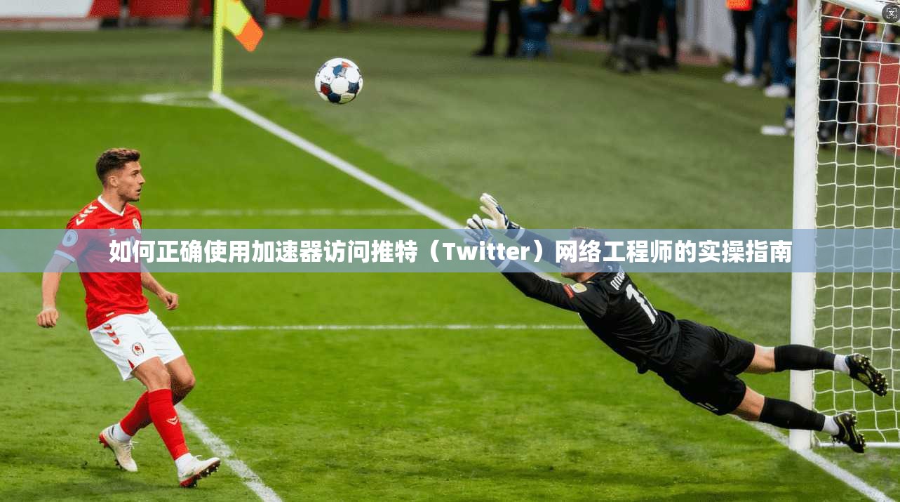 如何正确使用加速器访问推特（Twitter）网络工程师的实操指南