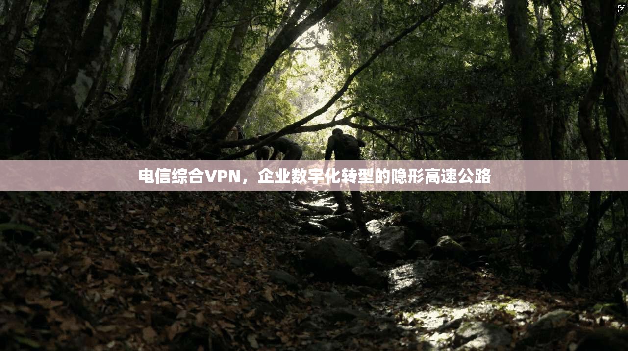 电信综合VPN,企业数字化转型的隐形高速公路 电信综合VPN,企业数字化转型的隐形高速公路