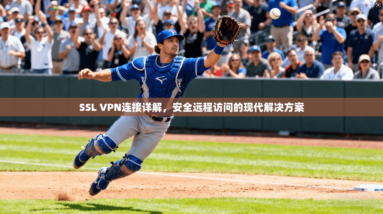 SSL VPN连接详解,安全远程访问的现代解决方案 SSL VPN连接详解,安全远程访问的现代解决方案