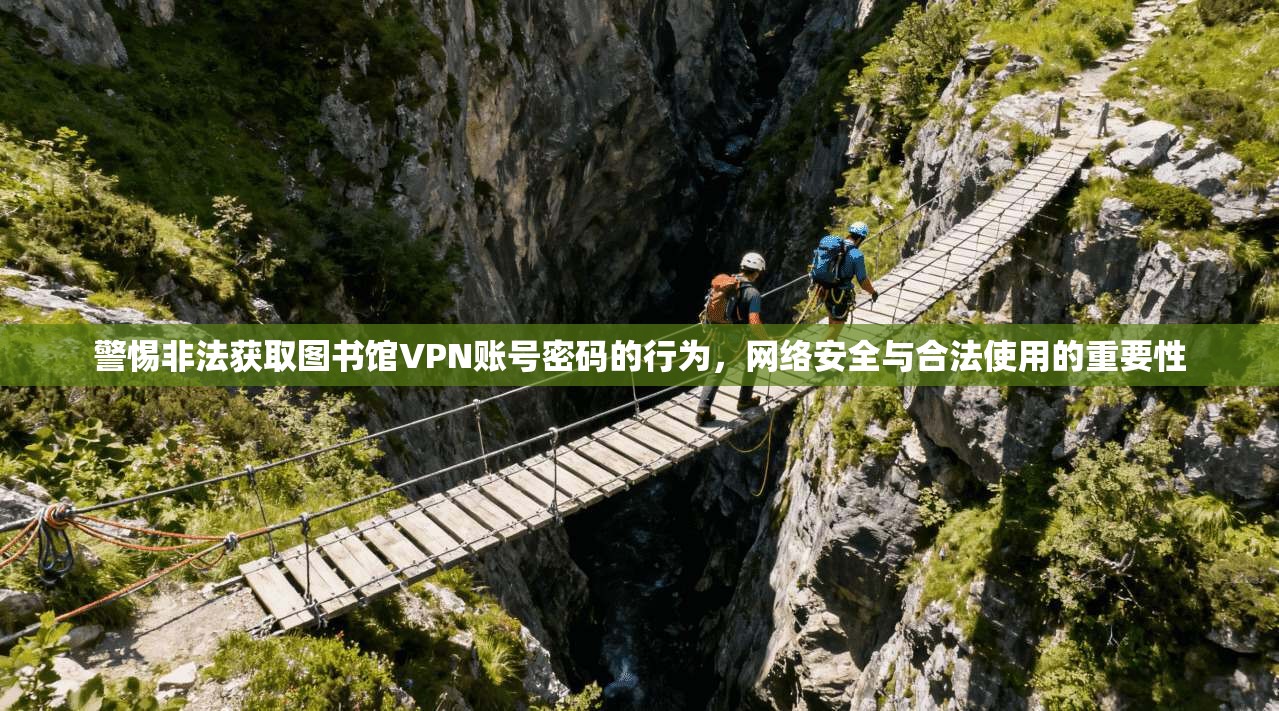 警惕非法获取图书馆VPN账号密码的行为,网络安全与合法使用的重要性 警惕非法获取图书馆VPN账号密码的行为,网络安全与合法使用的重要性
