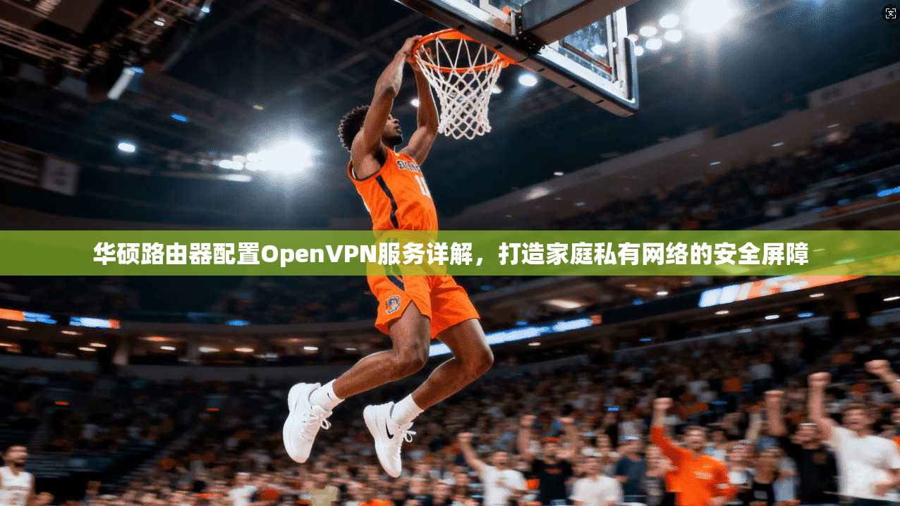 华硕路由器配置OpenVPN服务详解,打造家庭私有网络的安全屏障 华硕路由器配置OpenVPN服务详解,打造家庭私有网络的安全屏障