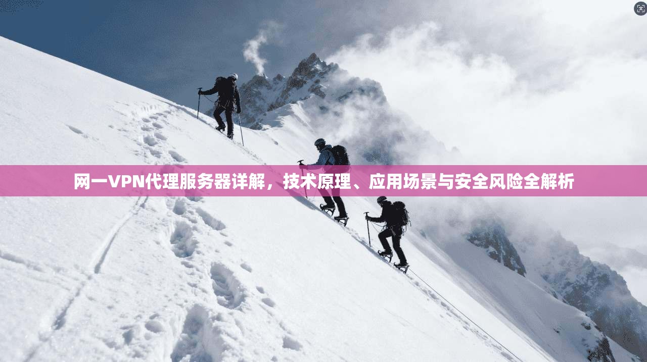 网一VPN代理服务器详解,技术原理、应用场景与安全风险全解析 网一VPN代理服务器详解,技术原理、应用场景与安全风险全解析