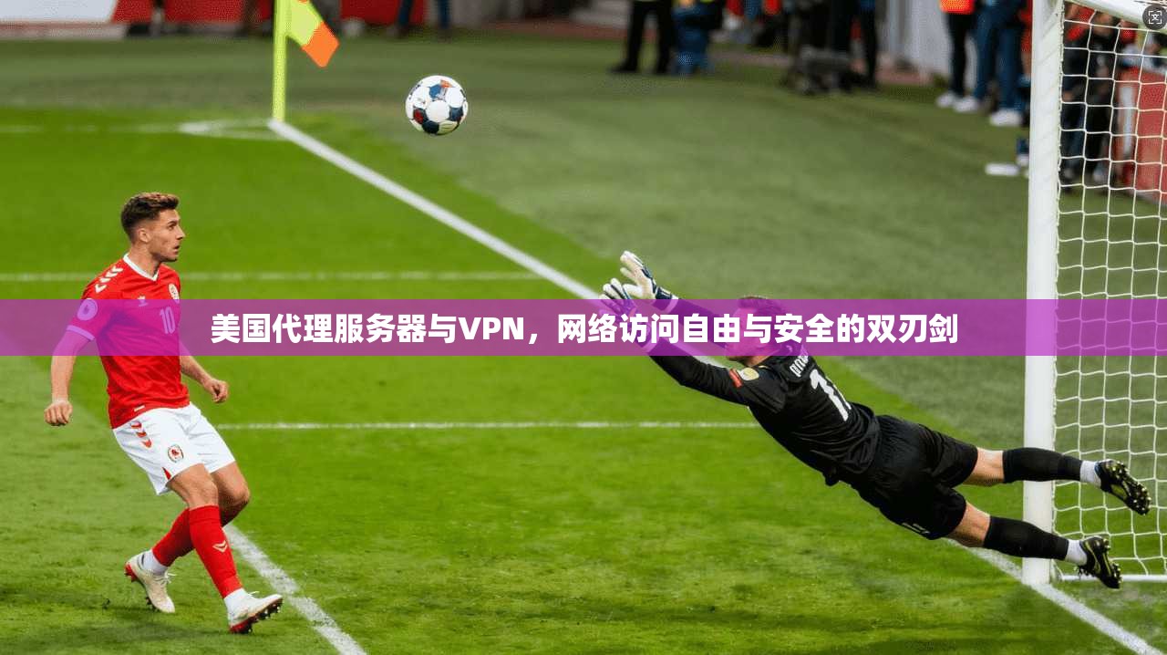 美国代理服务器与VPN，网络访问自由与安全的双刃剑