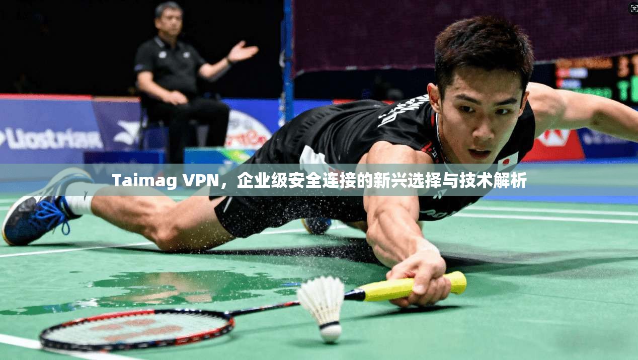 Taimag VPN,企业级安全连接的新兴选择与技术解析 Taimag VPN,企业级安全连接的新兴选择与技术解析