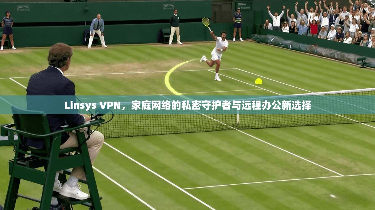 Linsys VPN,家庭网络的私密守护者与远程办公新选择 Linsys VPN,家庭网络的私密守护者与远程办公新选择