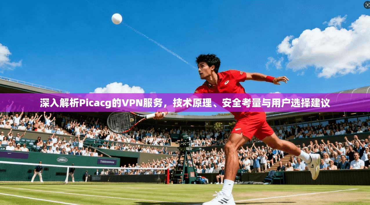 深入解析Picacg的VPN服务,技术原理、安全考量与用户选择建议 深入解析Picacg的VPN服务,技术原理、安全考量与用户选择建议