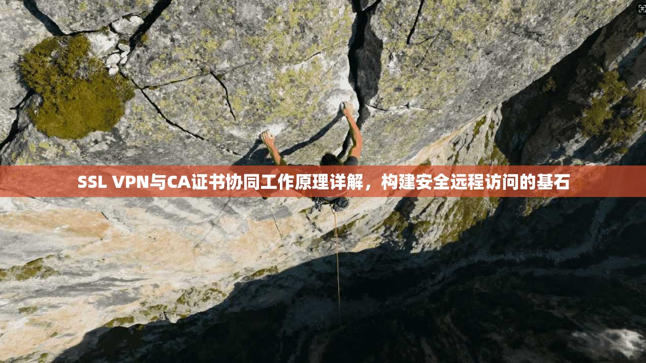 SSL VPN与CA证书协同工作原理详解，构建安全远程访问的基石