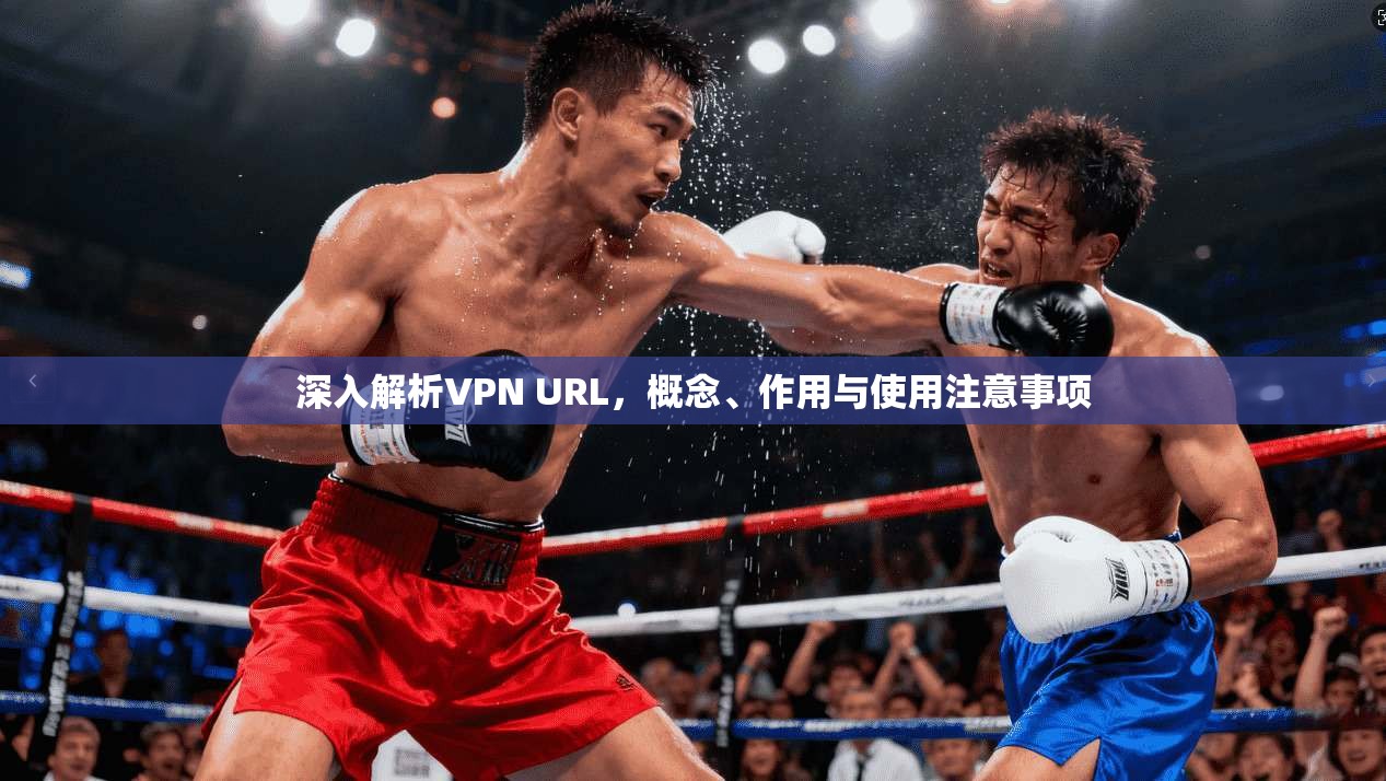 深入解析VPN URL,概念、作用与使用注意事项 深入解析VPN URL,概念、作用与使用注意事项