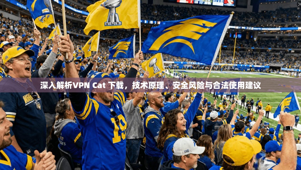 深入解析VPN Cat 下载,技术原理、安全风险与合法使用建议 深入解析VPN Cat 下载,技术原理、安全风险与合法使用建议