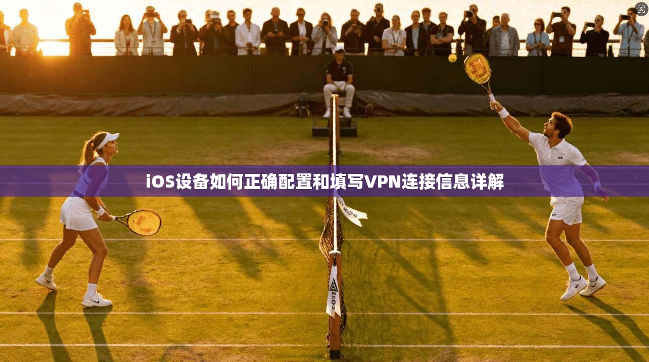 iOS设备如何正确配置和填写VPN连接信息详解