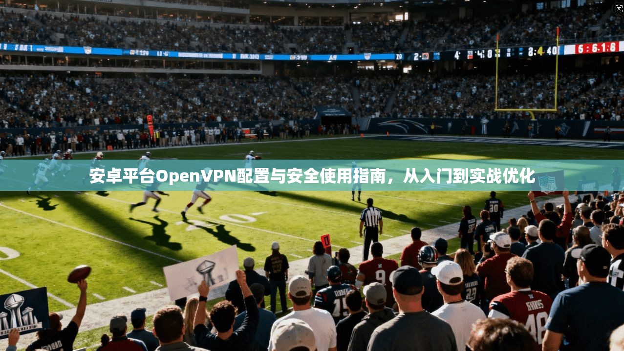 安卓平台OpenVPN配置与安全使用指南，从入门到实战优化