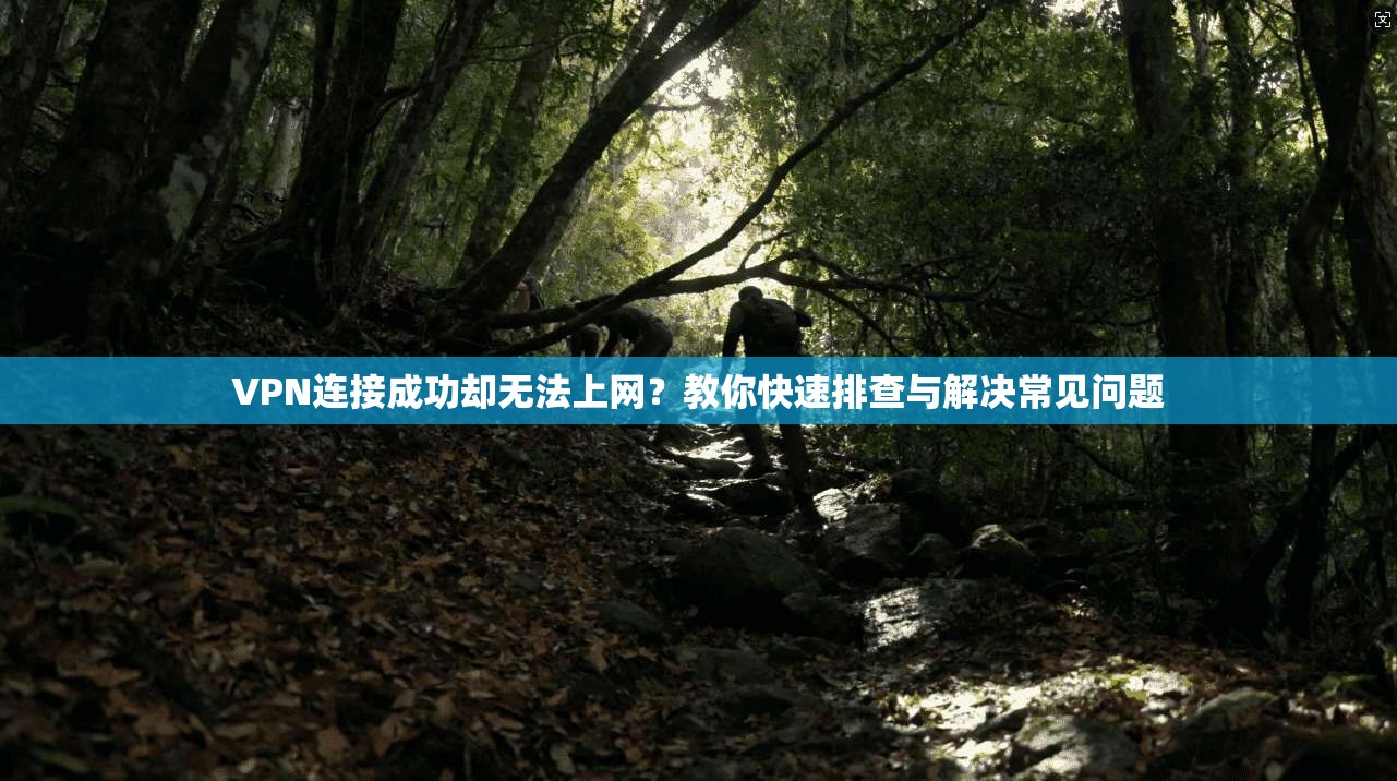 VPN连接成功却无法上网?教你快速排查与解决常见问题 VPN连接成功却无法上网?教你快速排查与解决常见问题