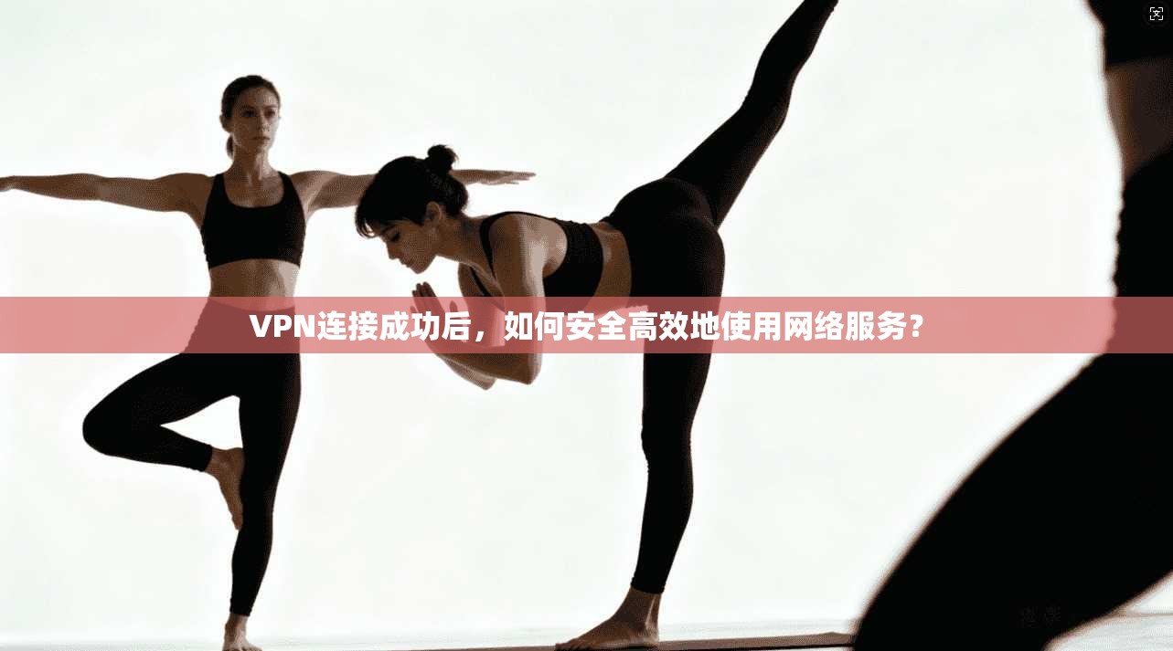 VPN连接成功后，如何安全高效地使用网络服务？