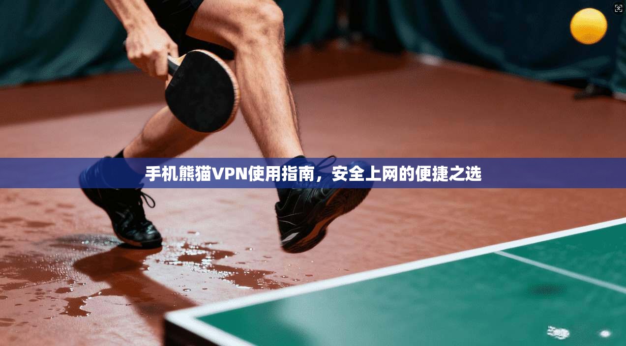 手机熊猫VPN使用指南，安全上网的便捷之选