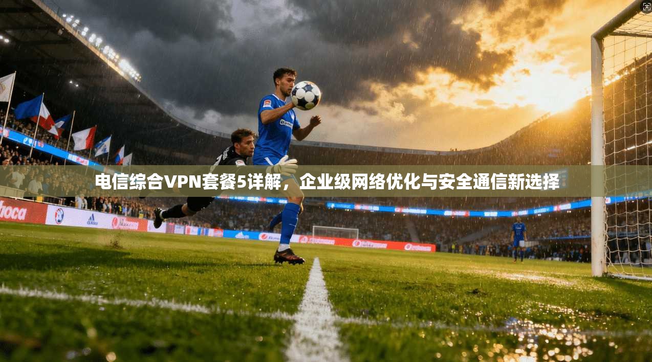 电信综合VPN套餐5详解，企业级网络优化与安全通信新选择