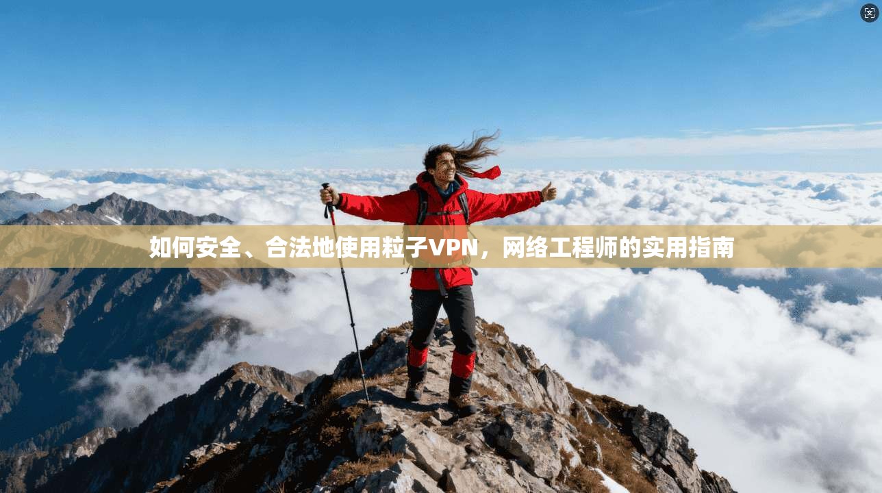 如何安全、合法地使用粒子VPN，网络工程师的实用指南