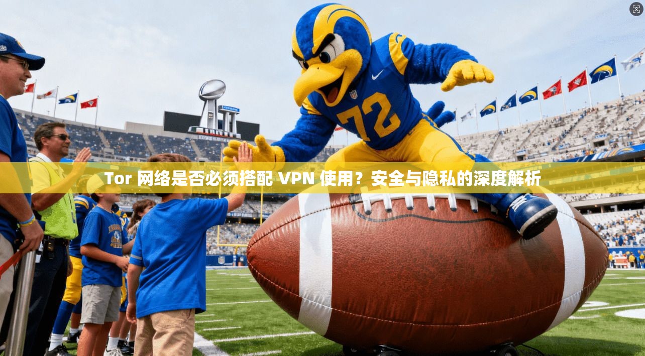 Tor 网络是否必须搭配 VPN 使用？安全与隐私的深度解析