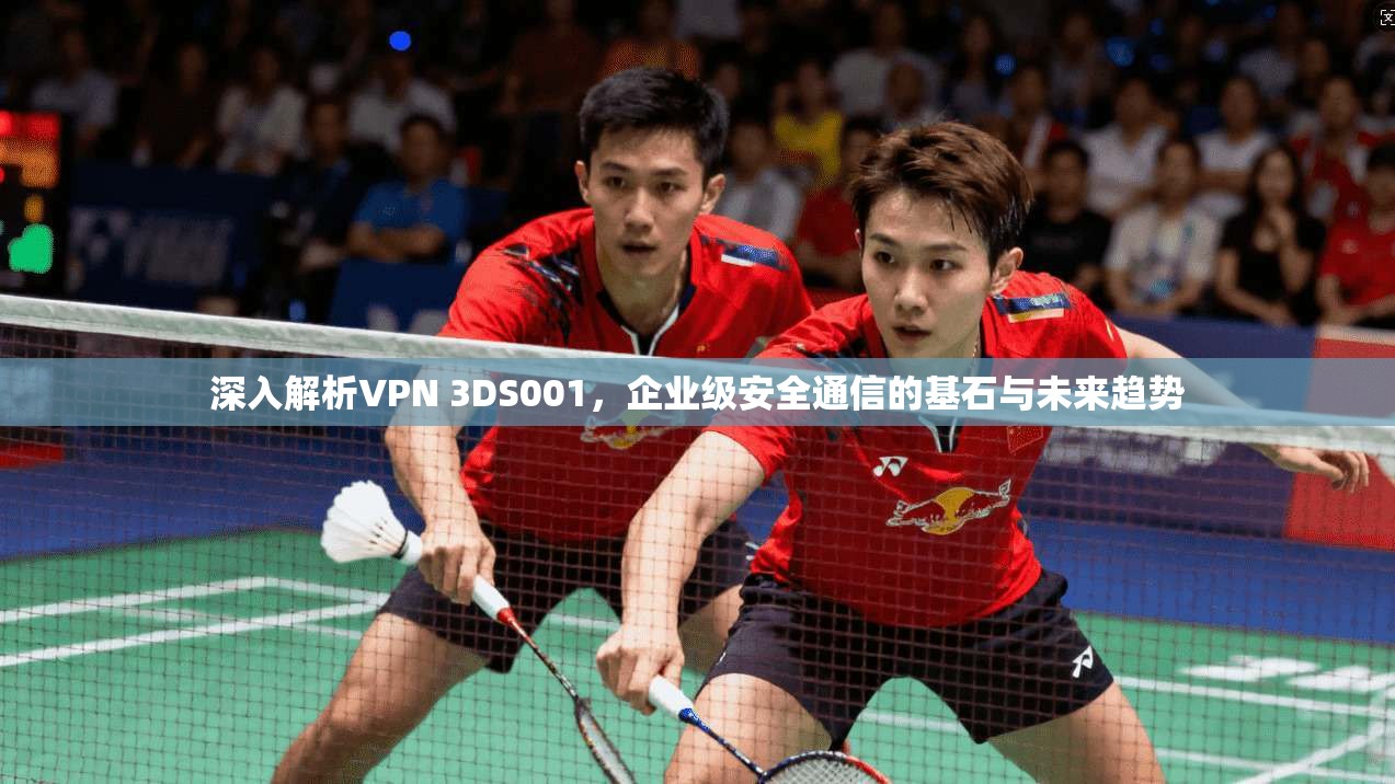 深入解析VPN 3DS001，企业级安全通信的基石与未来趋势